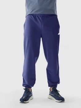 Spodnie dresowe męskie 4F 4FWAW24TTROM1277-31S