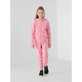 Spodnie dresowe dziewczęce 4F HJL22-JSPDD001