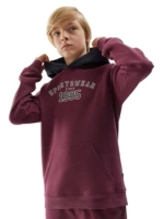 Bluza dresowa nierozpinana z kapturem chłopięca 4F Junior