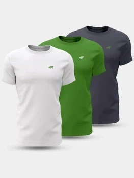 T-shirt męski (ZESTAW KOSZULEK 3 SZT.) 4F 4FWSS24TTSHM1895-90S