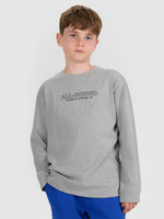 Longsleeve m485 4F JUNIOR 4FJWAW25TLONM485-24M