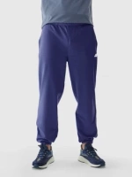 Spodnie dresowe męskie 4F 4FWAW24TTROM1277-31S