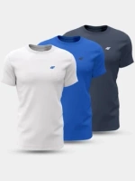 T-shirt męski (ZESTAW KOSZULEK 3 SZT.) 4F 4FWSS24TTSHM1895-91S