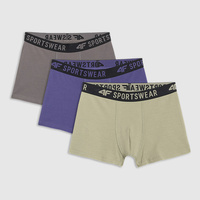 Bokserki m061 (3pak) 4F JUNIOR 4FJWAW25UBXSM061-91S