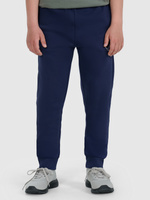 Spodnie cas m1258 4F JUNIOR 4FJWAW25TTROM1258-31S